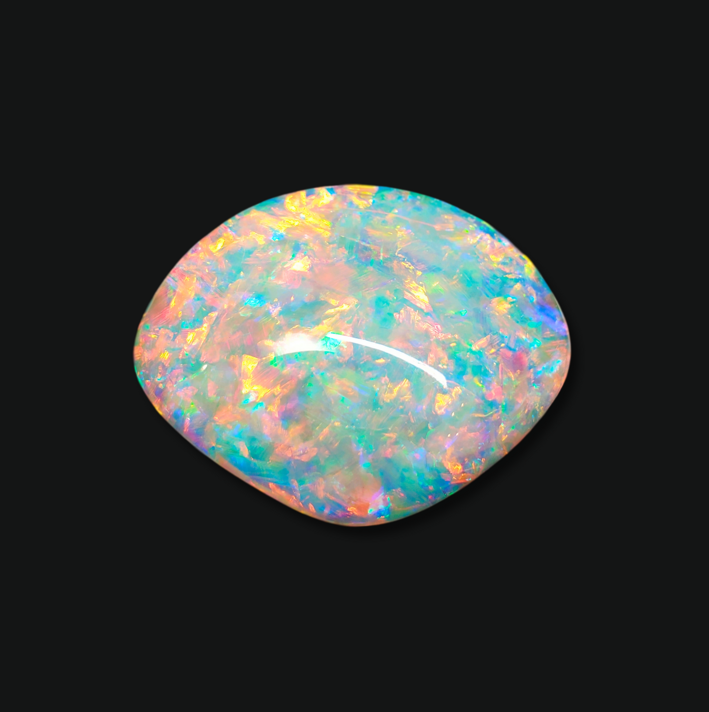 15.62 ct Crystal Opal Shell Fossil